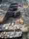 This image for Image Layouts addon